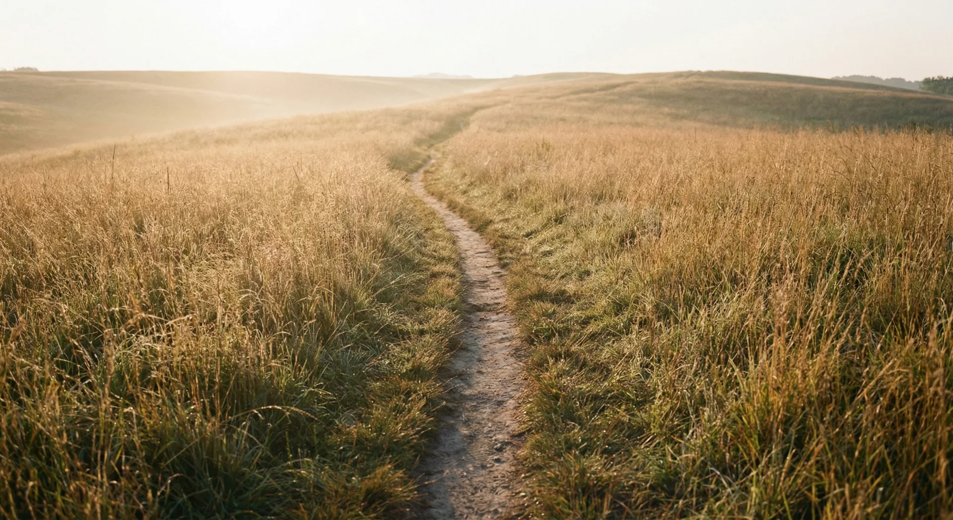 Pfad durch goldenes Grasfeld zum Horizont